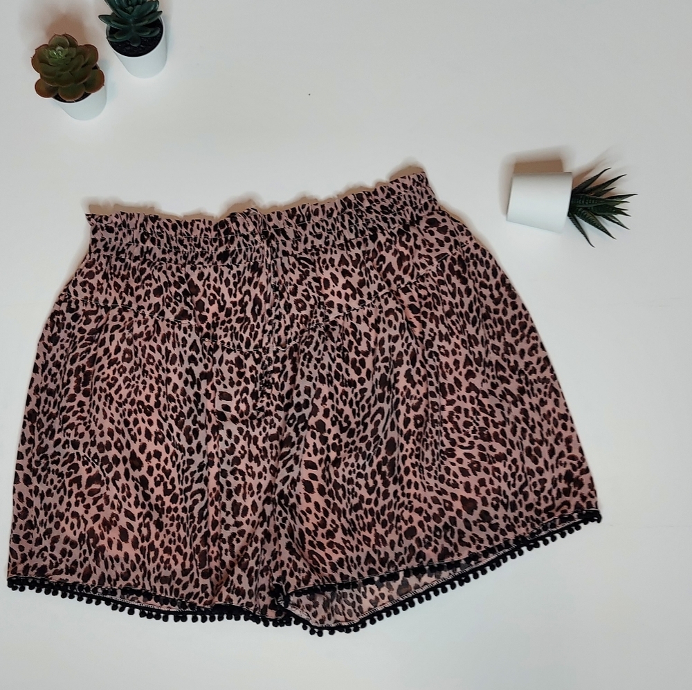 Shorts - Picture 1 of 5